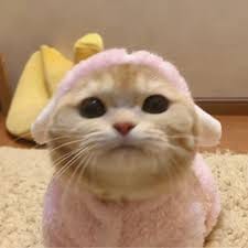 เอสเธอร์ สุปรีย์ลีลา avatar