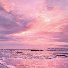 คิมเบอร์ลี่ แอน avatar